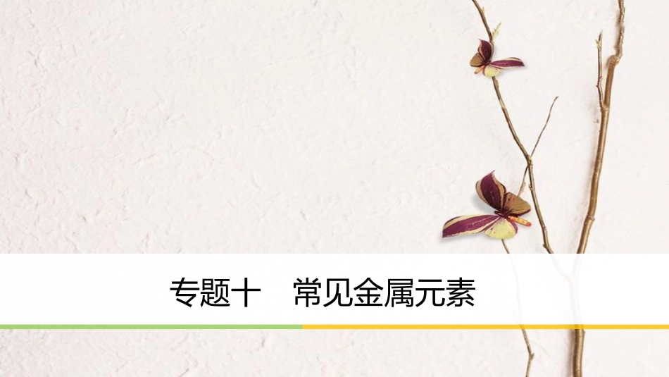 版高中化学二轮复习 专题十 常见金属元素课件_第1页