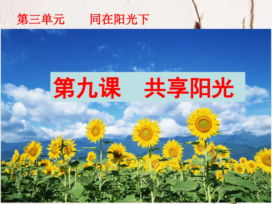 九年级政治全册 第三单元 同在阳光下 第九课《共享阳光》课件1 教科版_第2页