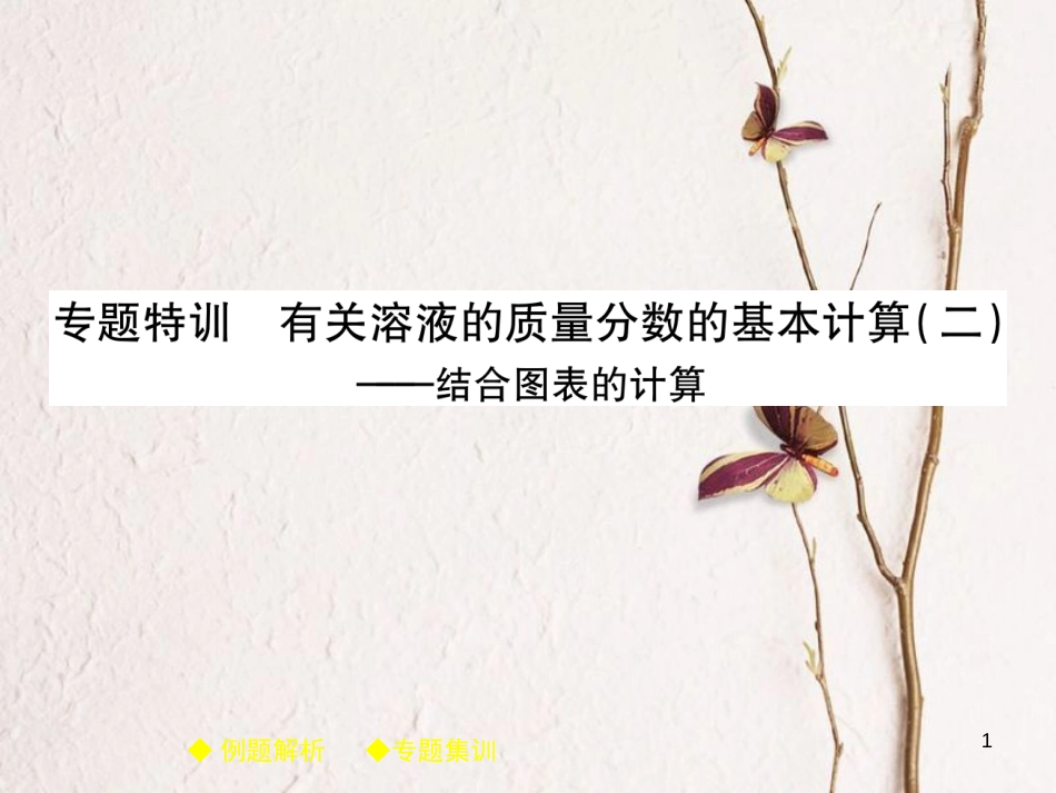九年级化学下册 专题特训 有关溶液质量分数的基本计算（二）习题课件 （新版）新人教版_第1页