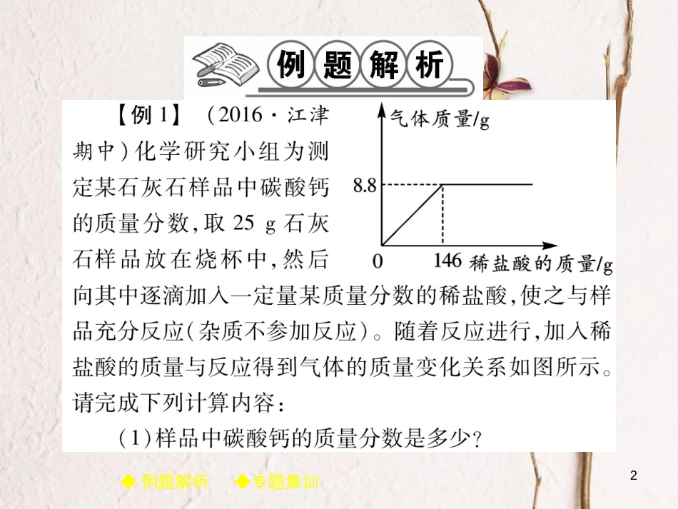 九年级化学下册 专题特训 有关溶液质量分数的基本计算（二）习题课件 （新版）新人教版_第2页