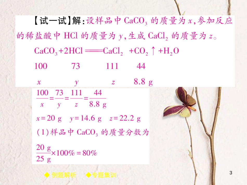 九年级化学下册 专题特训 有关溶液质量分数的基本计算（二）习题课件 （新版）新人教版_第3页