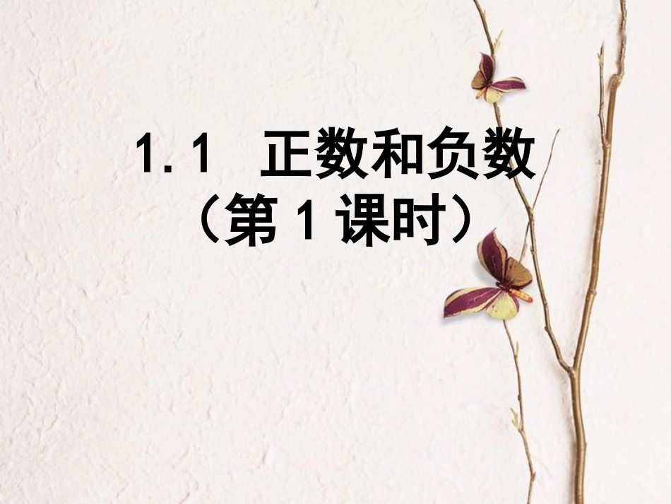 陕西省安康市石泉县池河镇七年级数学上册 1.1 正数和负数（1）课件 （新版）新人教版_第1页