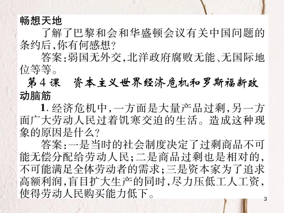 九年级历史下册 第二单元 凡尔赛—华盛顿体系下的东西方世界教材习题答案作业课件 岳麓版(1)_第3页