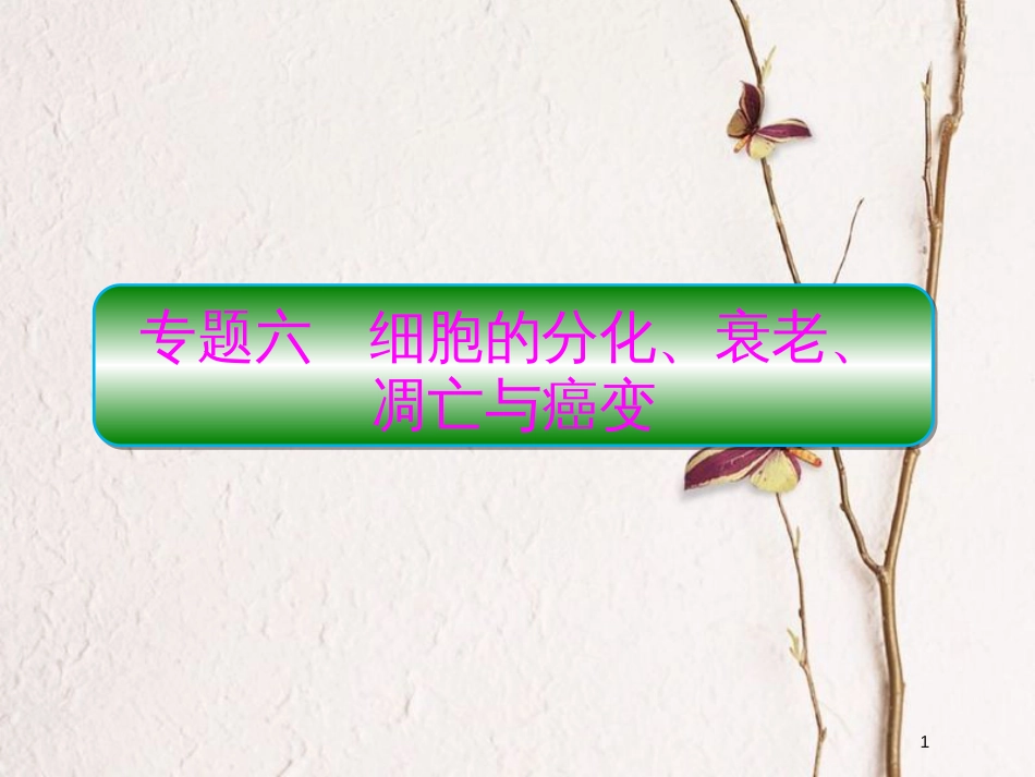 高考生物二轮复习 专题6 细胞的分化、衰老、凋亡与癌变课件(1)_第1页