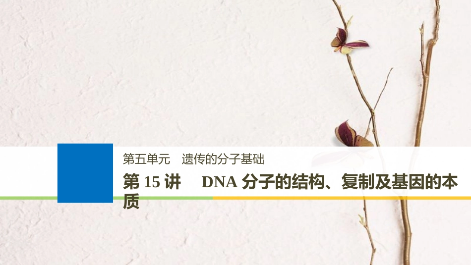 生物高考大一轮复习 第五单元 遗传的分子基础 第15讲 DNA分子的结构、复制及基因的本质课件 北师大版_第1页