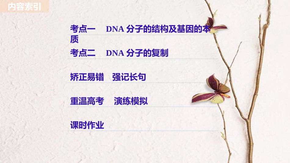 生物高考大一轮复习 第五单元 遗传的分子基础 第15讲 DNA分子的结构、复制及基因的本质课件 北师大版_第3页