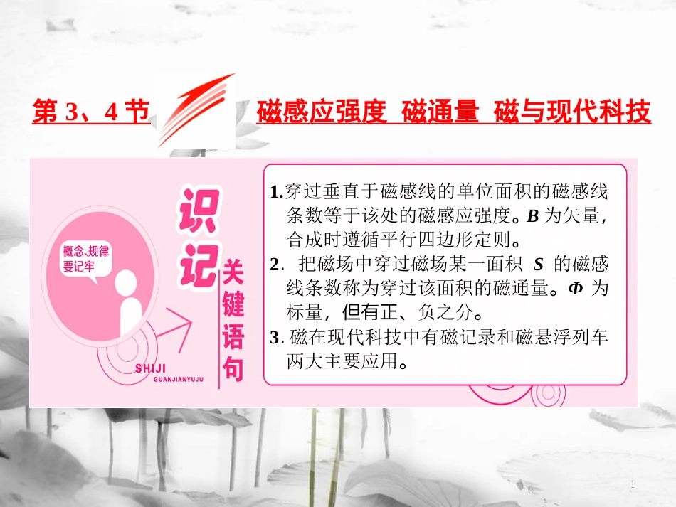 高中物理 第5章 磁场 第3、4节 磁感应强度 磁通量 磁与现代科技课件 鲁科版选修3-1_第1页