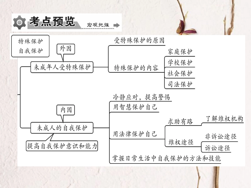 重庆市中考政治 专题复习七 法律护我成长 学会自我保护课件_第3页
