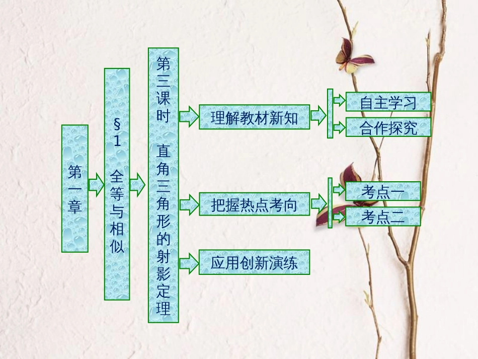 高中数学 第一章 直线、多边形、圆 1 第三课时 直角三角形的射影定理课件 北师大版选修4-1(1)_第1页