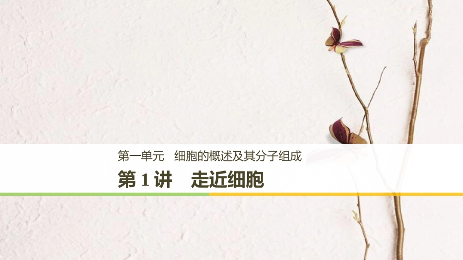 高考生物大一轮复习 第一单元 细胞的概述及其分子组成 第1讲 走近细胞课件(1)_第1页