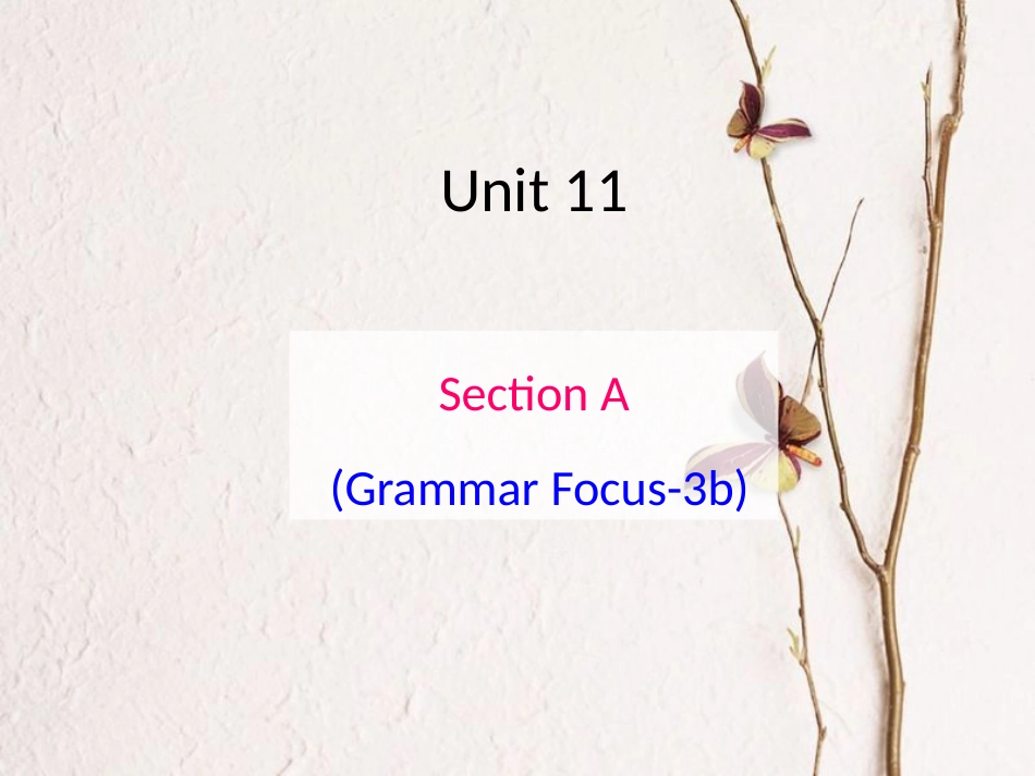 贵州省习水县七年级英语下册 Unit 11 How was your school trip Section A（Grammar Focus-3b）课件 （新版）人教新目标版_第1页