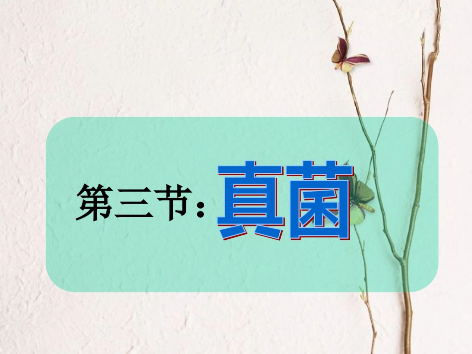 陕西省石泉县八年级生物上册 5.4.3真菌课件 （新版）新人教版(1)_第1页