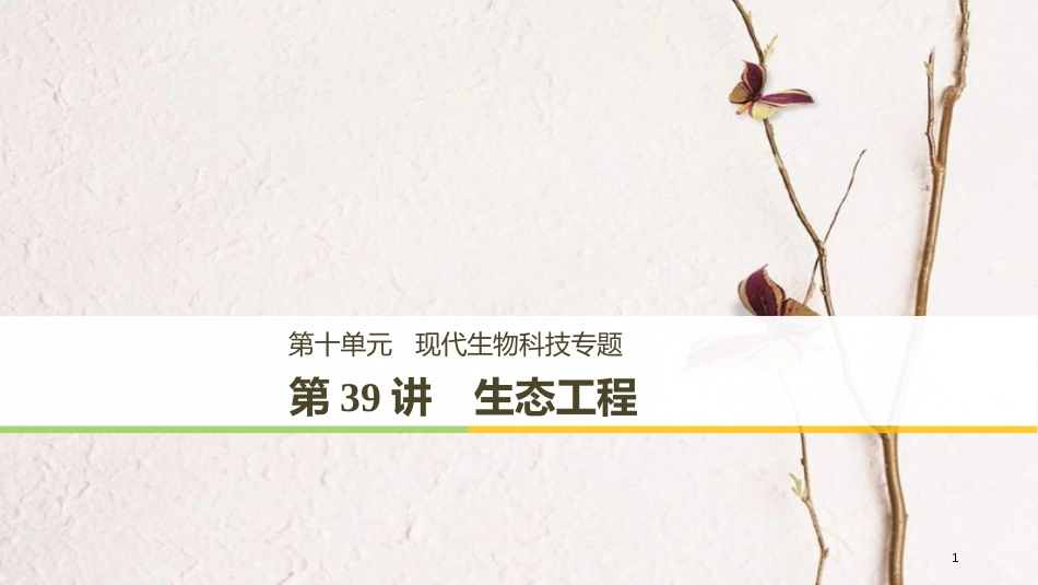 高考生物一轮复习 第10单元 现代生物科技专题 第39讲 生态工程课件_第1页