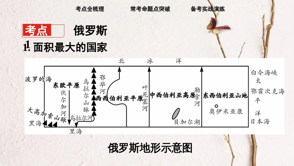 （新疆地区）中考地理总复习 七下 第八章 走近国家（课时二 俄罗斯 法国）基础知识梳理课件_第3页