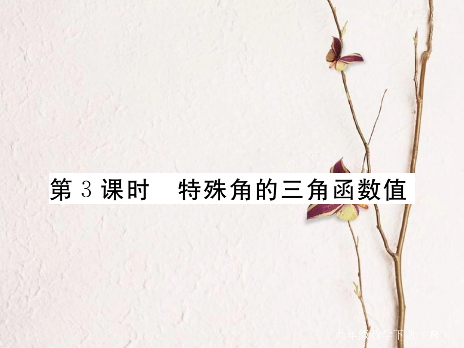 河北省九年级数学下册 28 锐角三角函数 28.1 第3课时 特殊角的三角函数值练习课件 （新版）新人教版_第1页