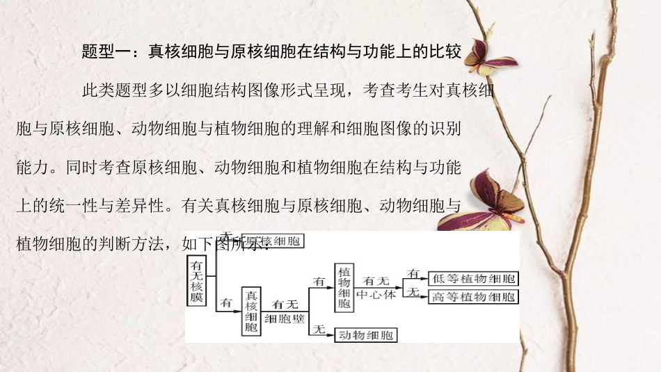 高考生物大一轮精讲复习 小专题二 真核细胞的结构与功能课件_第2页