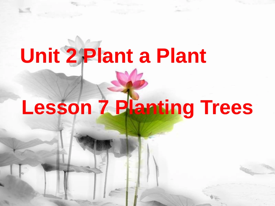 八年级英语下册 Unit 2 Plant a Plant Lesson 7 Planting Trees课件 （新版）冀教版_第1页