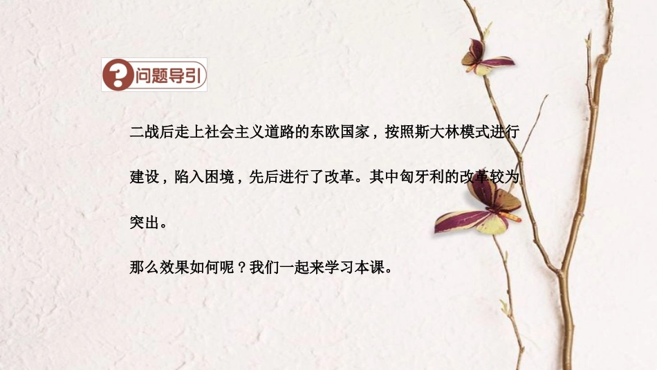 春九年级历史下册 第四单元 两极格局下的世界 第11课 苏联和东欧社会主义国家建设的曲折道路导学课件 中华书局版(1)_第3页