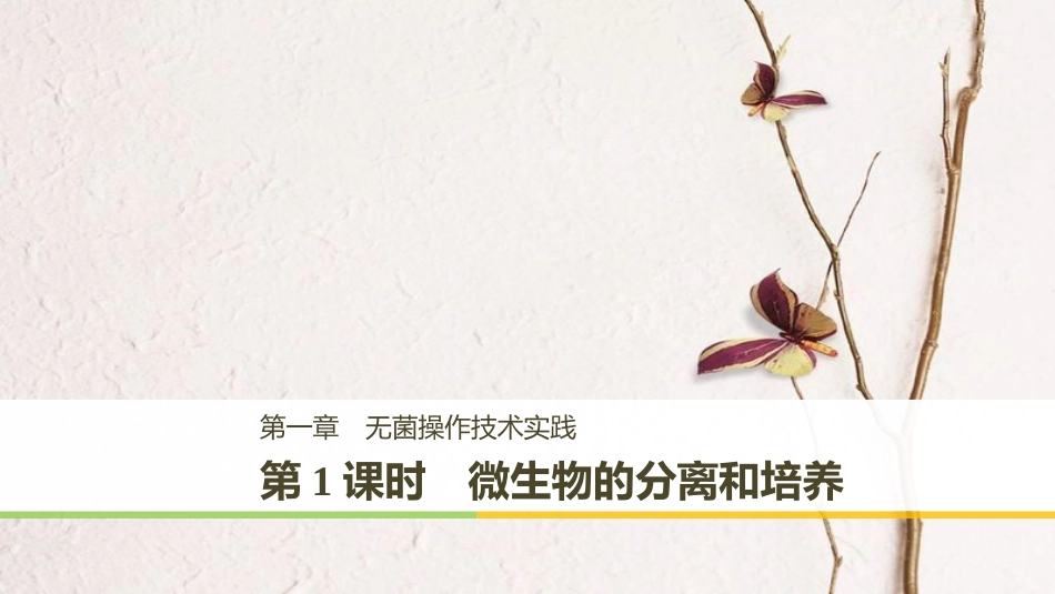 高中生物 第一章 无菌操作技术实践 第1课时 微生物的分离和培养同步备课课件 苏教版选修1(1)_第1页