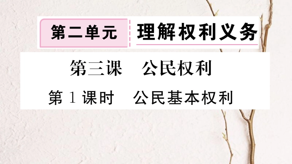 八年级道德与法治下册 第二单元 理解权利义务 第三课 公民权利 第1框 公民基本权利习题讲评课件 新人教版_第1页