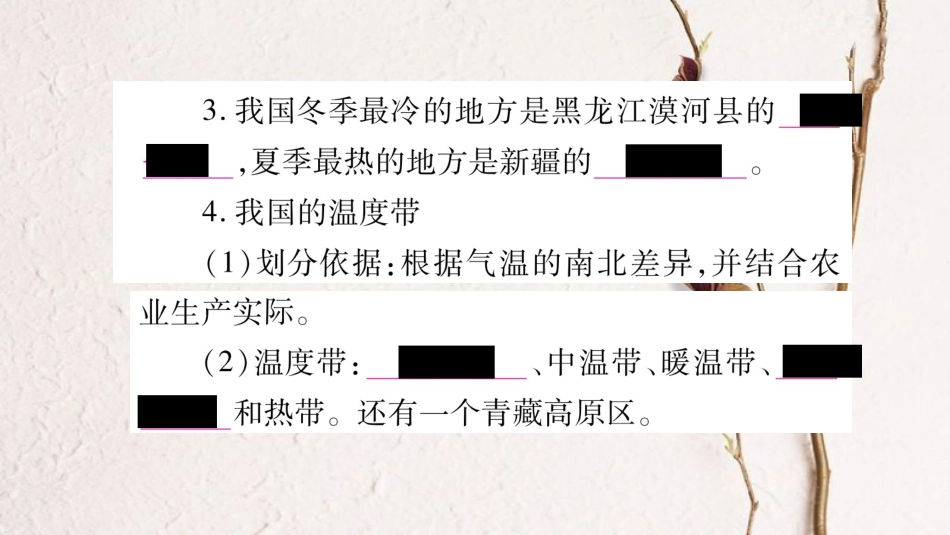 （人教版通用）中考地理总复习 八上 第2章 中国的自然环境 第2课时 气候课件(1)_第3页