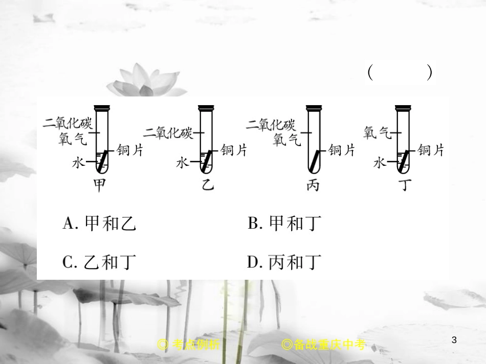 （重庆专版）中考化学总复习 第二篇 重点题型突破 第24讲 实验探究—变量控制问题课件_第3页