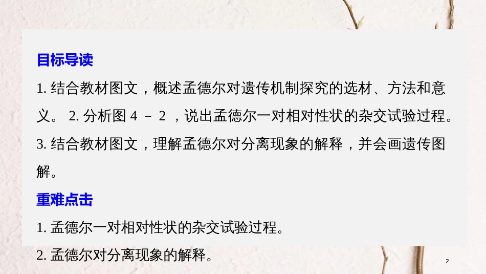 高中生物 第4章 遗传信息的传递规律 第12课时 基因的分离规律(Ⅰ)课件 北师大版必修2_第2页