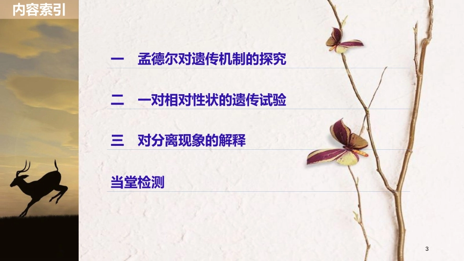 高中生物 第4章 遗传信息的传递规律 第12课时 基因的分离规律(Ⅰ)课件 北师大版必修2_第3页