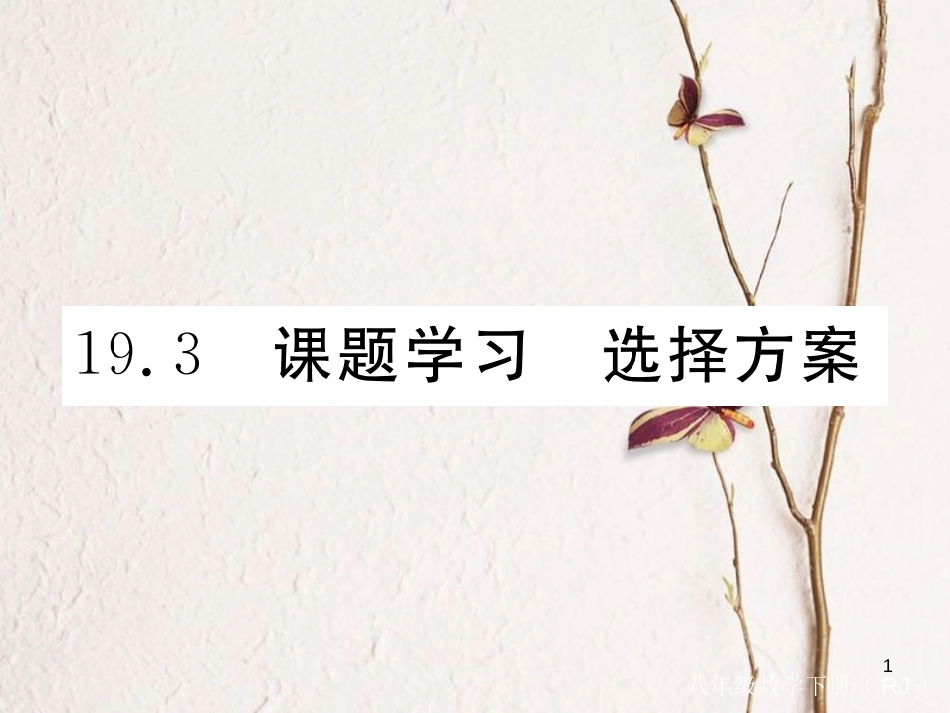 安徽省八年级数学下册 第19章 一次函数 19.3 课题学习 选择方案练习课件 （新版）新人教版(1)_第1页