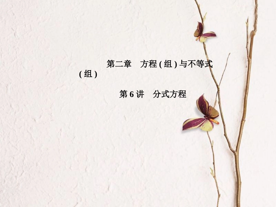 山东省滨州市中考数学复习 第二章 方程(组)与不等式(组)第6讲 分式方程课件(1)_第1页