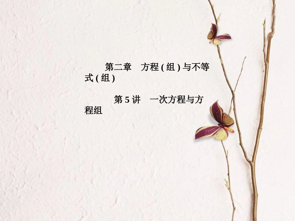 山东省滨州市中考数学复习 第二章 方程(组)与不等式(组)第5讲 一次方程与方程组课件_第1页