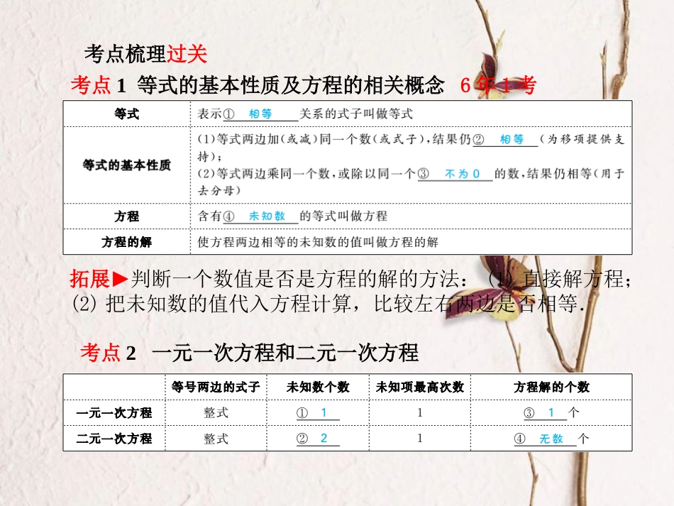 山东省滨州市中考数学复习 第二章 方程(组)与不等式(组)第5讲 一次方程与方程组课件_第2页