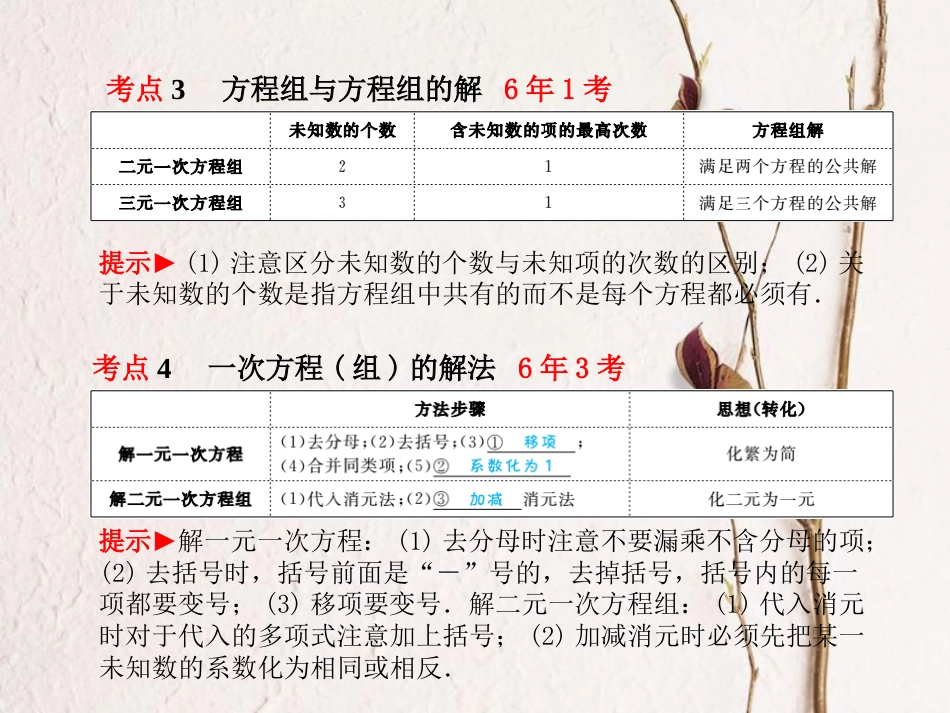 山东省滨州市中考数学复习 第二章 方程(组)与不等式(组)第5讲 一次方程与方程组课件_第3页