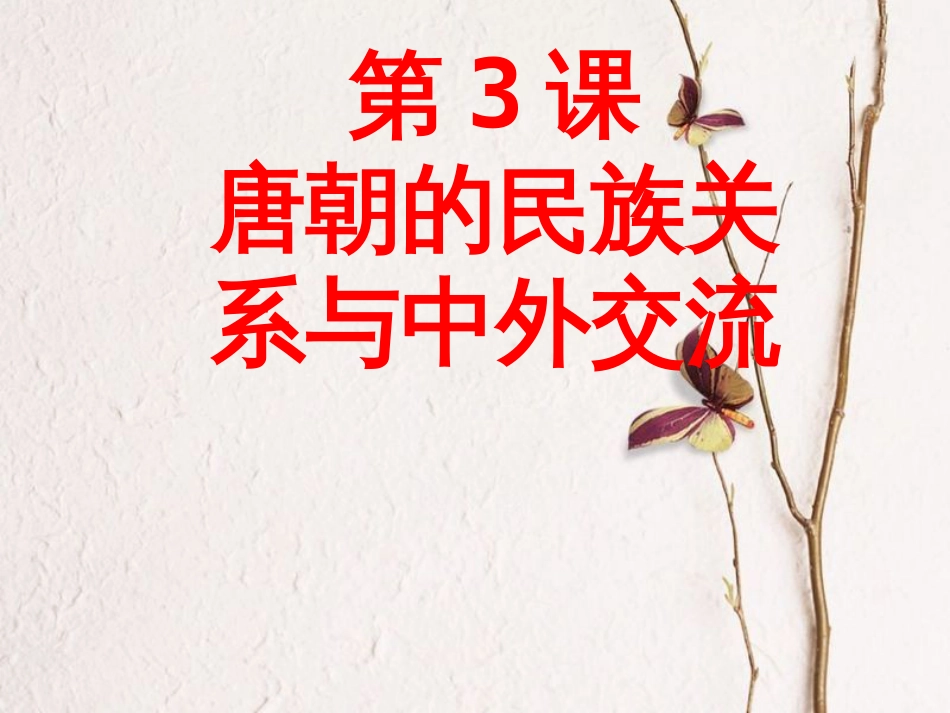 七年级历史下册 第3课《唐朝的民族关系与中外交流》课件 中图版_第1页
