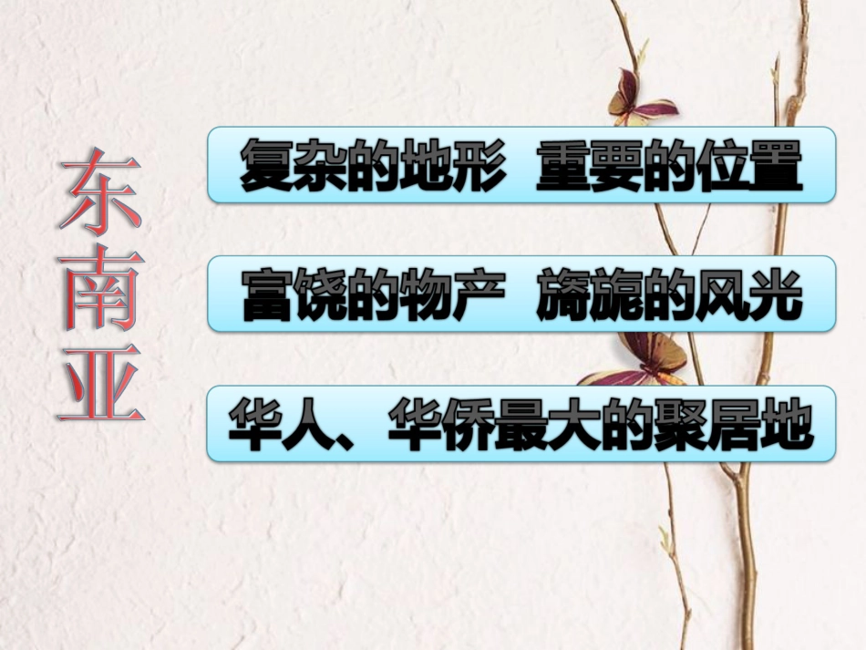 广东省佛冈县七年级地理下册 7.2 东南亚课件 （新版）粤教版(1)_第2页