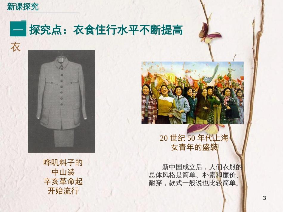 八年级历史下册 第三单元 社会主义现代化建设的新时期 第11课 城乡人民生存状态的沧桑巨变教学课件 川教版_第3页