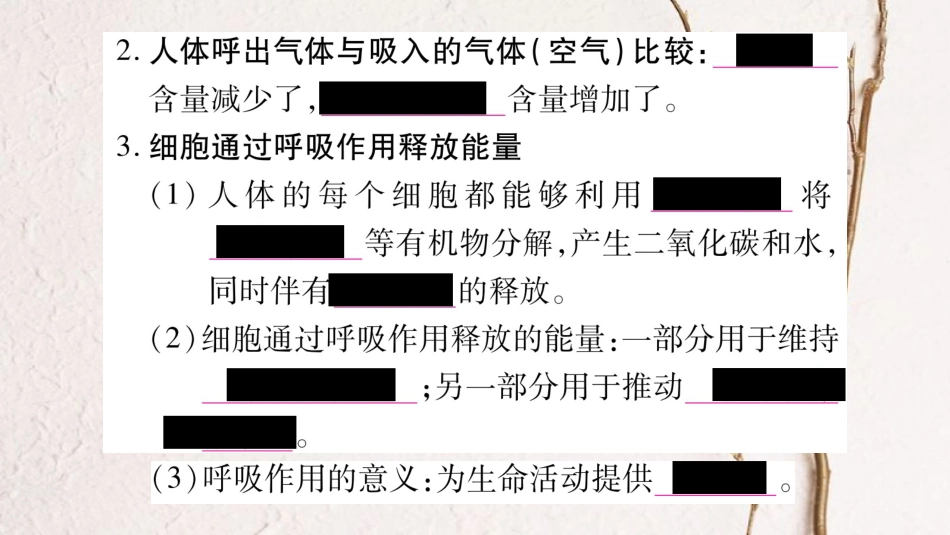 中考生物总复习 教材考点梳理 七下 第4单元 第10章 人体的能量供应课件 北师大版_第3页