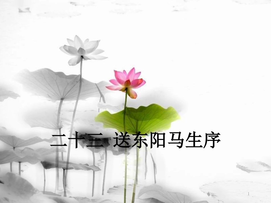 八年级语文下册 第五单元 23 送东阳马生序课件 苏教版_第1页