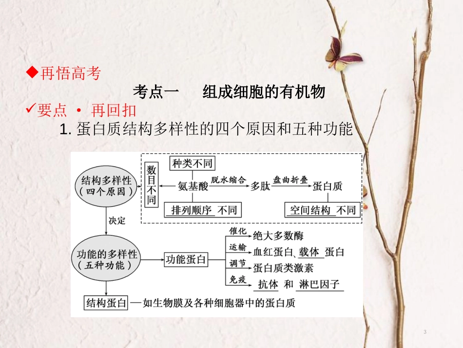 高考生物二轮复习 第一单元 生命系统的细胞基础 专题一 细胞的物质基础课件_第3页