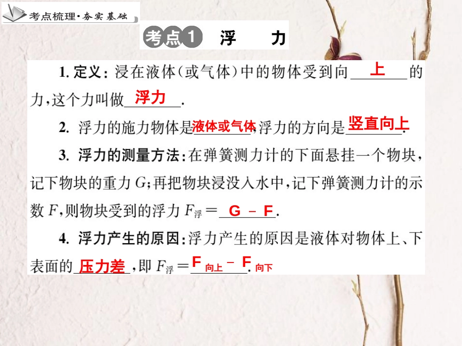 中考物理 专题13 浮力 浮力的应用复习课件_第3页