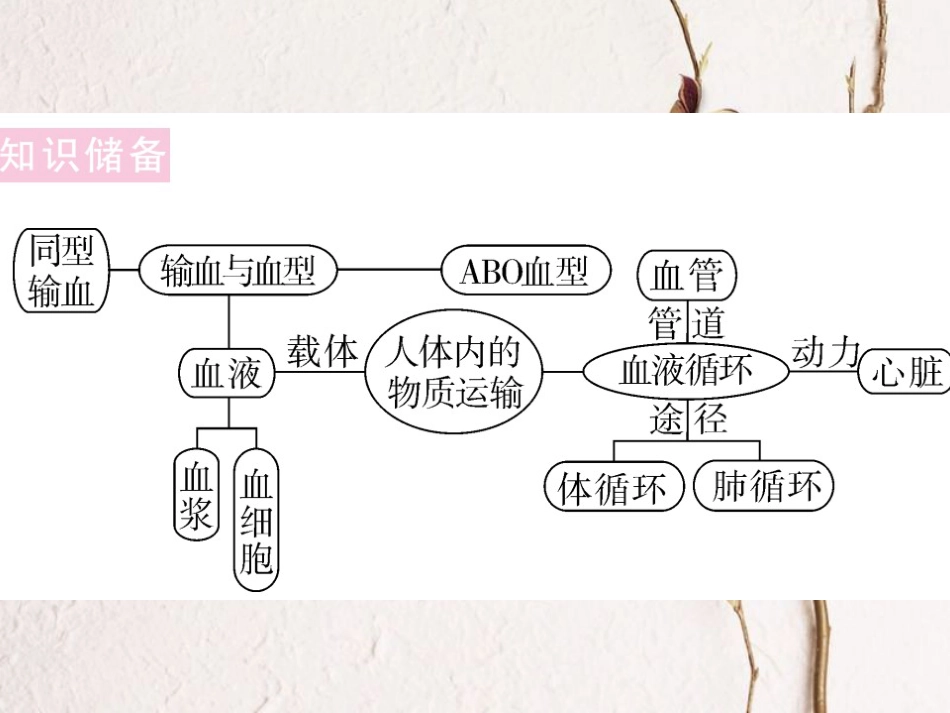 七年级生物下册 热点复习二 人体内营养物质的运输课件 （新版）北师大版_第2页