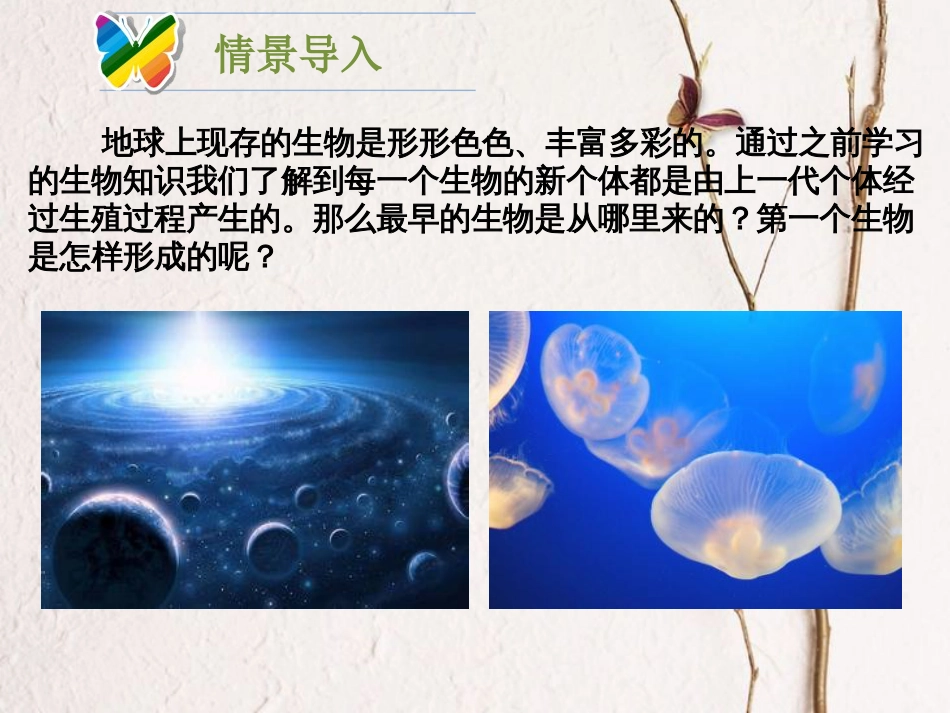 八年级生物下册 21.1《生命的起源》课件1 （新版）北师大版_第2页