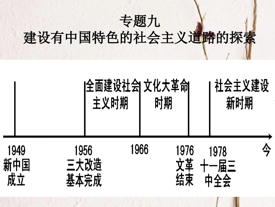 山东省泰安市岱岳区马庄镇中考历史复习 专题九 建设有中国特色的社会主义道路的探索课件(1)_第1页