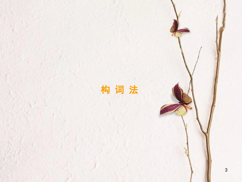 高考英语大一轮复习 第2部分 语法考点讲练 第3节 构词法与比较等级课件 北师大版(1)_第3页
