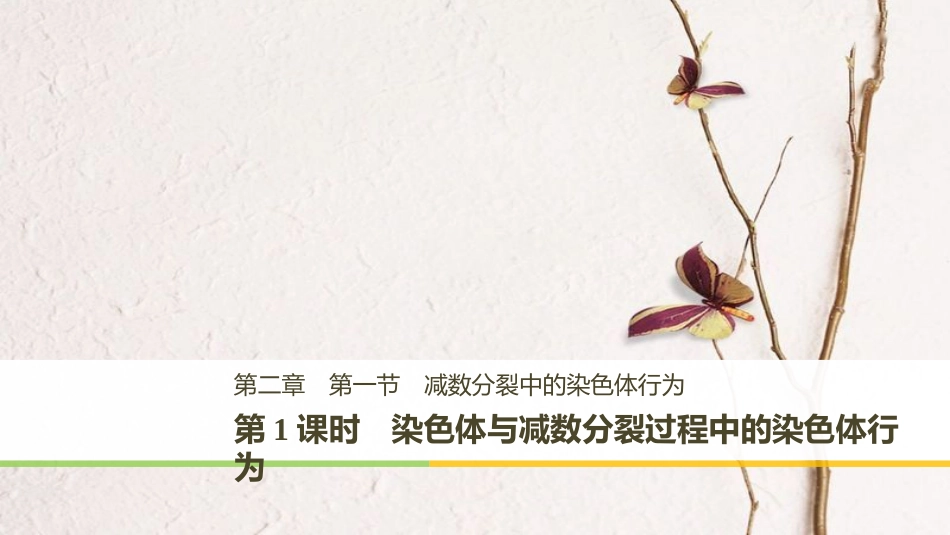 高中生物 第二章 染色体与遗传 第一节 减数分裂中的染色体行为 第1课时课件 浙科版必修2_第1页