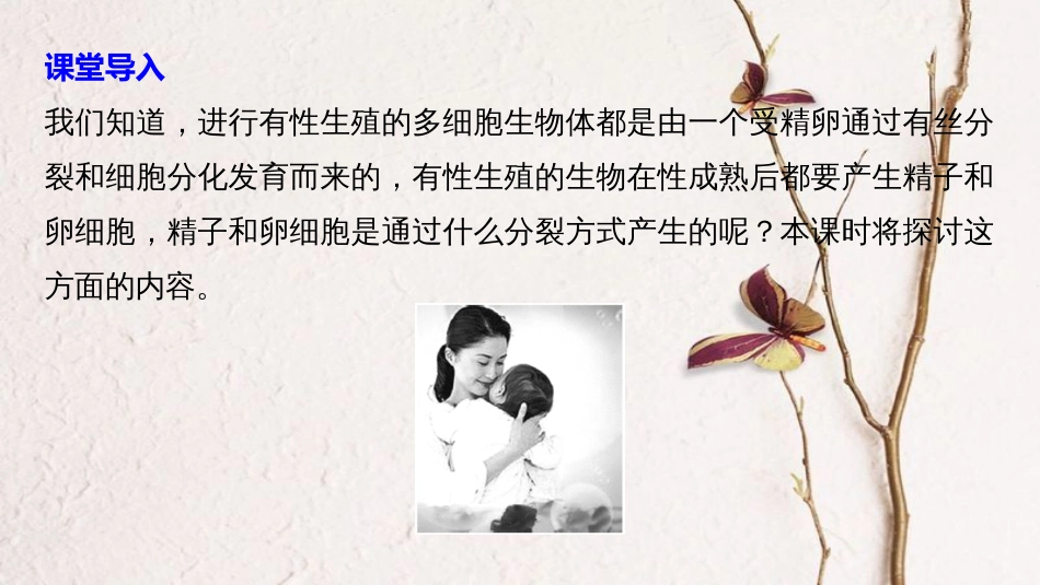 高中生物 第二章 染色体与遗传 第一节 减数分裂中的染色体行为 第1课时课件 浙科版必修2_第3页
