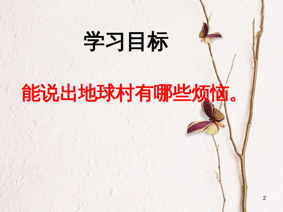 九年级政治全册 第一单元 世界大舞台 第一课 生活在地球村 村里的烦恼也不少课件 人民版_第2页