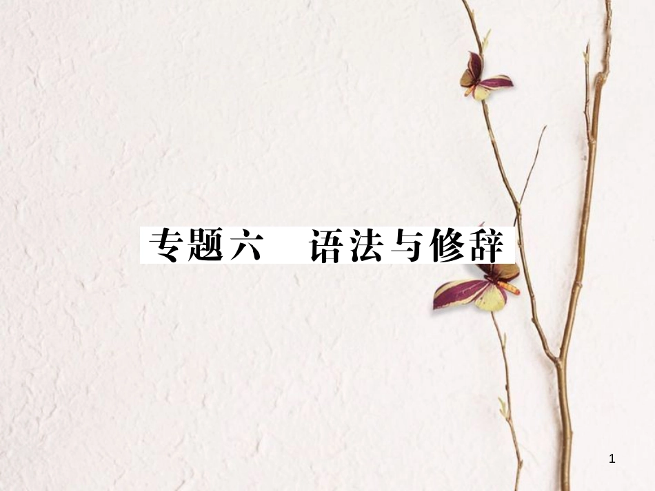 中考语文二轮复习 专题突破讲读 第1部分 语言积累与运用 专题六语法与修辞课件_第1页