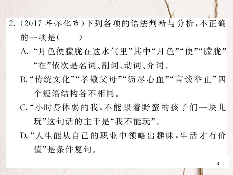 中考语文二轮复习 专题突破讲读 第1部分 语言积累与运用 专题六语法与修辞课件_第3页