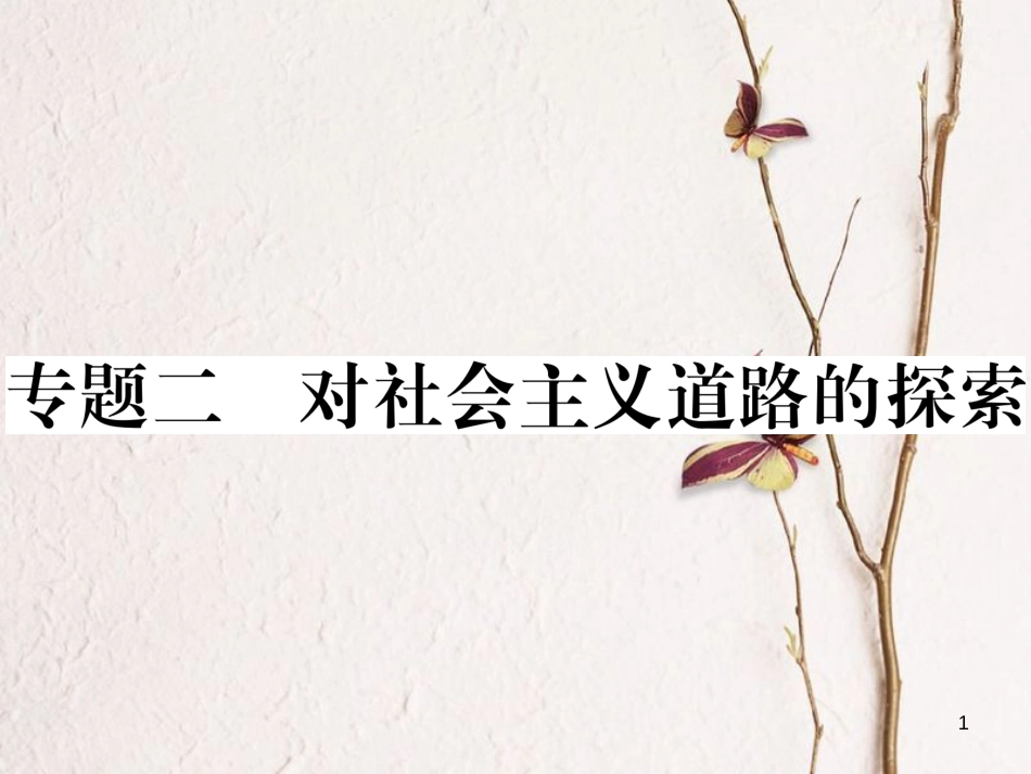 八年级历史下册 期末专题复习 专题二 对社会主义道路的探索练习课件 新人教版_第1页